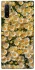 Чохол на Samsung Galaxy Note 10 Plus Camomile фото 1 з 1