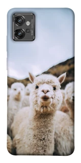 Чохол на Motorola Moto G32 Лама фото 1 з 1
