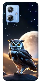 Чохол на Motorola Moto G84 Cyber ​​owl фото 1 з 1