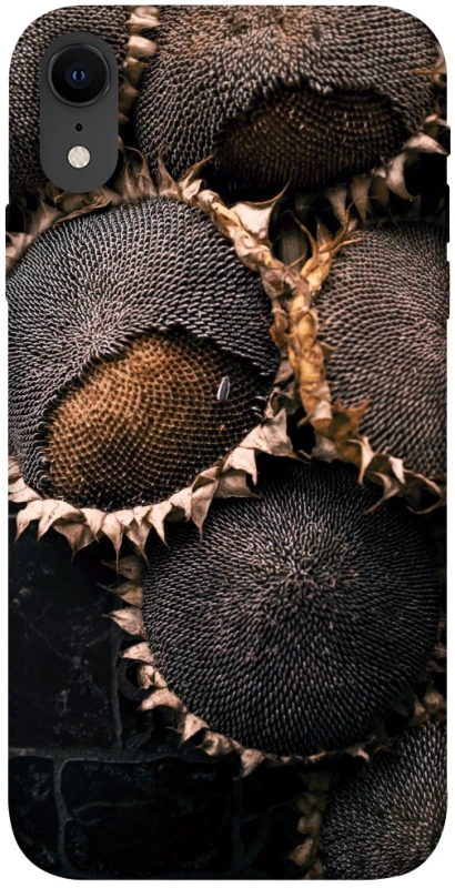 Чохол на Apple iPhone XR (6.1") Dreams2 фото 1 з 1