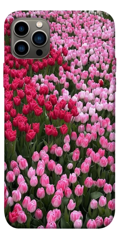 Чохол на Apple iPhone 12 Pro (6.1") Flowers v9 фото 1 з 1