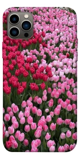 Чехол на Apple iPhone 12 Pro (6.1") Flowers v9 фото 1 из 1