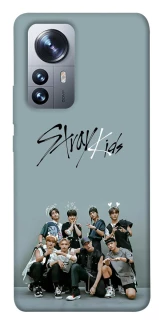 Чохол на Xiaomi 12 / 12X Stray Kids v5 фото 1 з 1