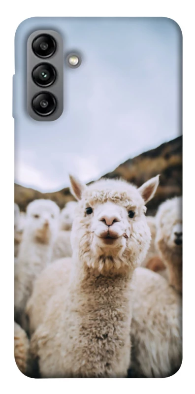 Чохол на Samsung Galaxy A04s Лама фото 1 з 1