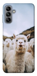 Чохол на Samsung Galaxy A04s Лама фото 1 з 1