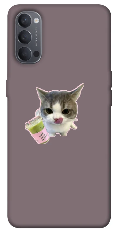 Чохол на Oppo Reno 4 cat matcha фото 1 з 1
