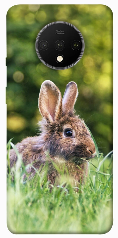 Чохол на OnePlus 7T Кролики фото 1 з 1