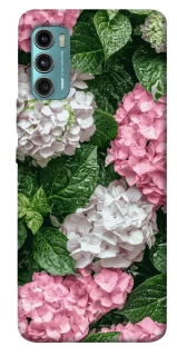 Чехол на Motorola Moto G60 Secret Garden фото 1 из 1