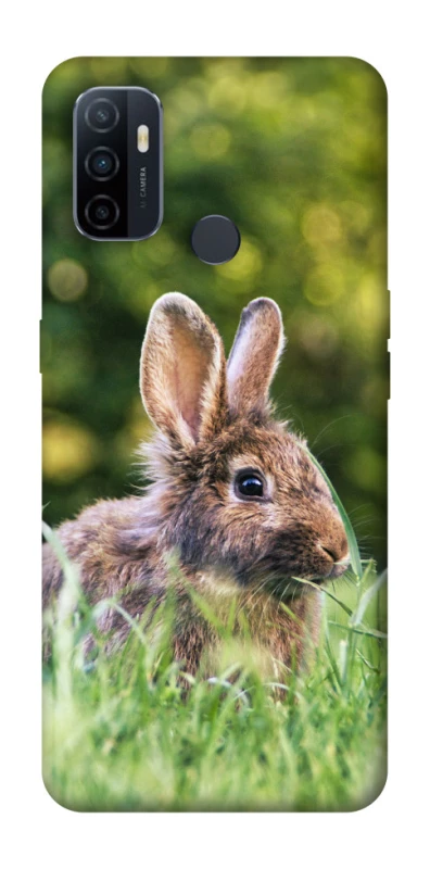 Чехол на Oppo A53 / A32 / A33 Кролики фото 1 из 1