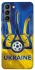 Чехол на Samsung Galaxy S21 Футбольный Герб v3 фото 1 из 1