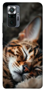 Чохол на Xiaomi Redmi Note 10 Pro Cat paws фото 1 з 1