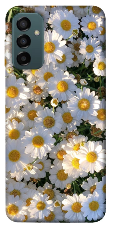 Чохол на Samsung Galaxy M13 4G Поле ромашок фото 1 з 1