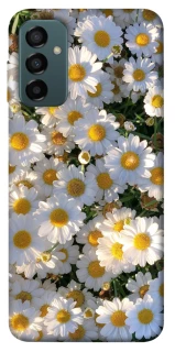 Чохол на Samsung Galaxy M13 4G Поле ромашок фото 1 з 1