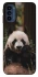 Чехол на Motorola Moto G41 Панда фото 1 из 1