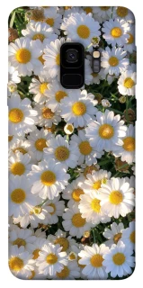 Чохол на Samsung Galaxy S9 Поле ромашок фото 1 з 1