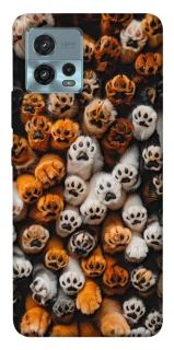 Чохол на Motorola Moto G72 Сat paws фото 1 з 1