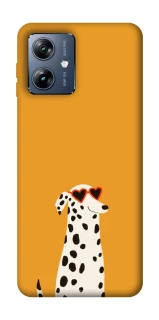 Чехол на Motorola Moto G54 Power Долматинец фото 1 из 1