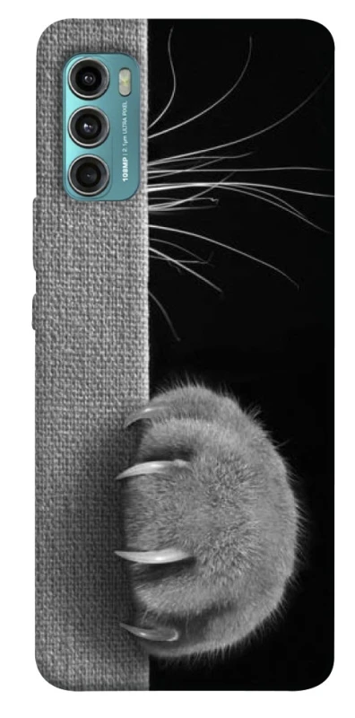 Чехол на Motorola Moto G60 Spy Cat фото 1 из 1
