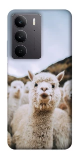 Чохол на Realme C75 Лама фото 1 з 1