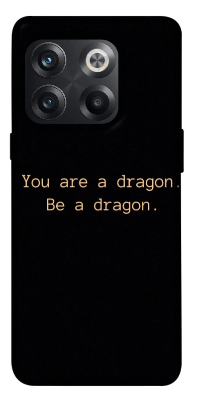 Чехол на OnePlus 10T House of the Dragon ver.9 фото 1 из 1