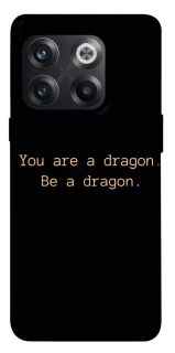 Чехол на OnePlus 10T House of the Dragon ver.9 фото 1 из 1