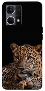 Чехол на Oppo Reno 7 4G Leopard v4 фото 1 из 1