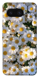 Чехол на Google Pixel 8 Поле ромашек фото 1 из 1