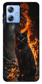 Чехол на Motorola Moto G84 Огненный кот фото 1 из 1