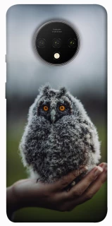 Чехол на OnePlus 7T Совёнок фото 1 из 1
