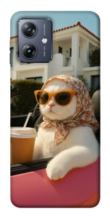 Чохол на Motorola Moto G54 Stylish Cat Cruise фото 1 Чохол на Motorola Moto G54 Stylish Cat Cruise фото 1 з 1