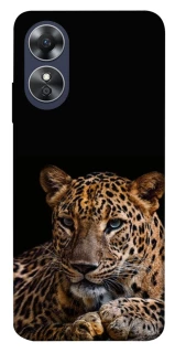 Чехол на Oppo A17 Leopard v4 фото 1 из 1