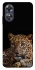 Чехол на Oppo A17 Leopard v4 фото 1 из 1