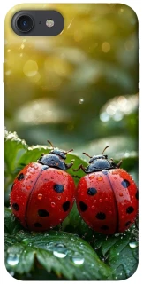 Чохол на Apple iPhone 7 / 8 (4.7") Flowers v23 фото 1 з 1