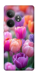 Чохол на Realme GT Neo 6 Тюльпанове поле фото 1 з 1