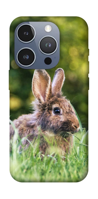 Чехол на Apple iPhone 16 Pro Кролики фото 1 из 1