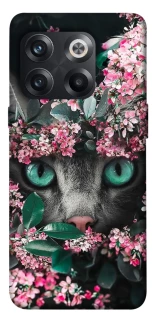 Чохол на OnePlus 10T Кіт в квітах фото 1 з 1