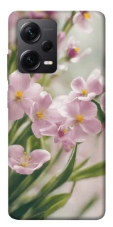 Чехол на Xiaomi Redmi Note 12 Pro 5G Spring фото 1 из 1