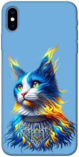 Чохол на Apple iPhone X (5.8") Кіт патріот фото 1 з 1