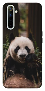 Чехол на Realme 6 Панда фото 1 из 1