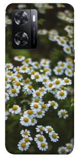 Чехол на Oppo A77s Ромашки v13 фото 1 из 1