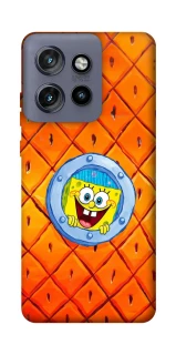 Чохол на Motorola Edge 50 Neo Дім Спанч Боба фото 1 з 1