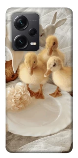 Чохол на Xiaomi Redmi Note 12 Pro+ 5G Easter Vibes фото 1 з 1