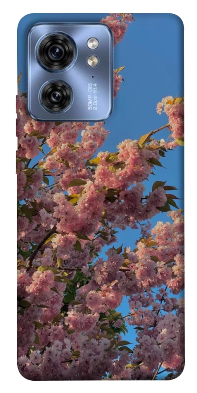 Чохол на Motorola Edge 40 Flowers v4 фото 1 з 1