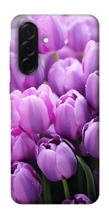 Чехол на Samsung Galaxy A37 5G Фиолетовые тюльпаны фото 1 из 1
