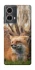 Чохол на Motorola Moto G85 Лисиця фото 1 з 1