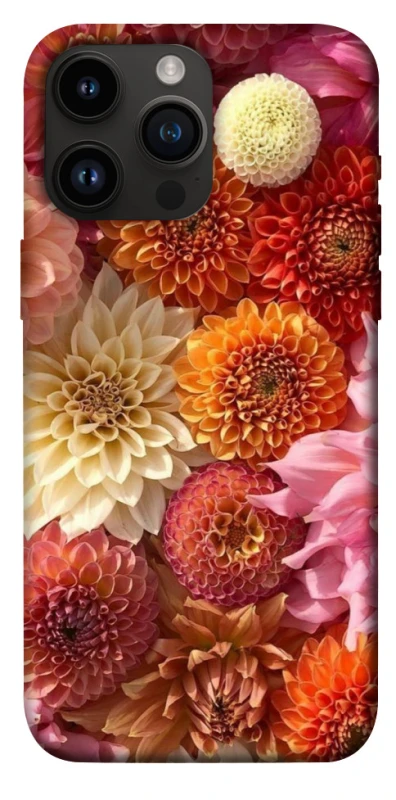 Чохол на Apple iPhone 14 Pro Max (6.7") Bouquet фото 1 з 1