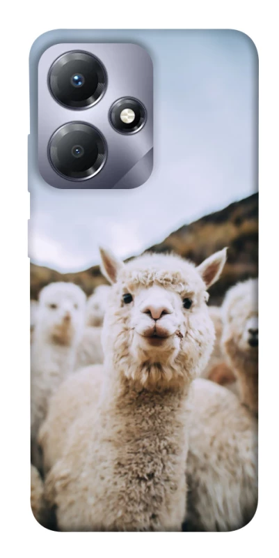 Чохол на Infinix Hot 30i Лама фото 1 з 1