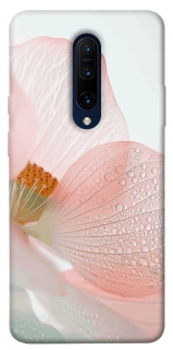 Чехол на OnePlus 7 Pro Flowers zon фото 1 из 1