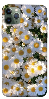 Чохол на Apple iPhone 11 Pro Max (6.5") Поле ромашок фото 1 з 1