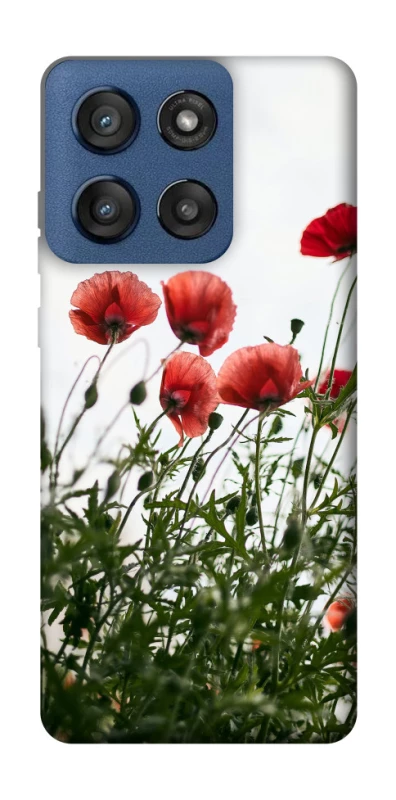 Чехол на Motorola Edge 60 Stylus Поле маков фото 1 из 1